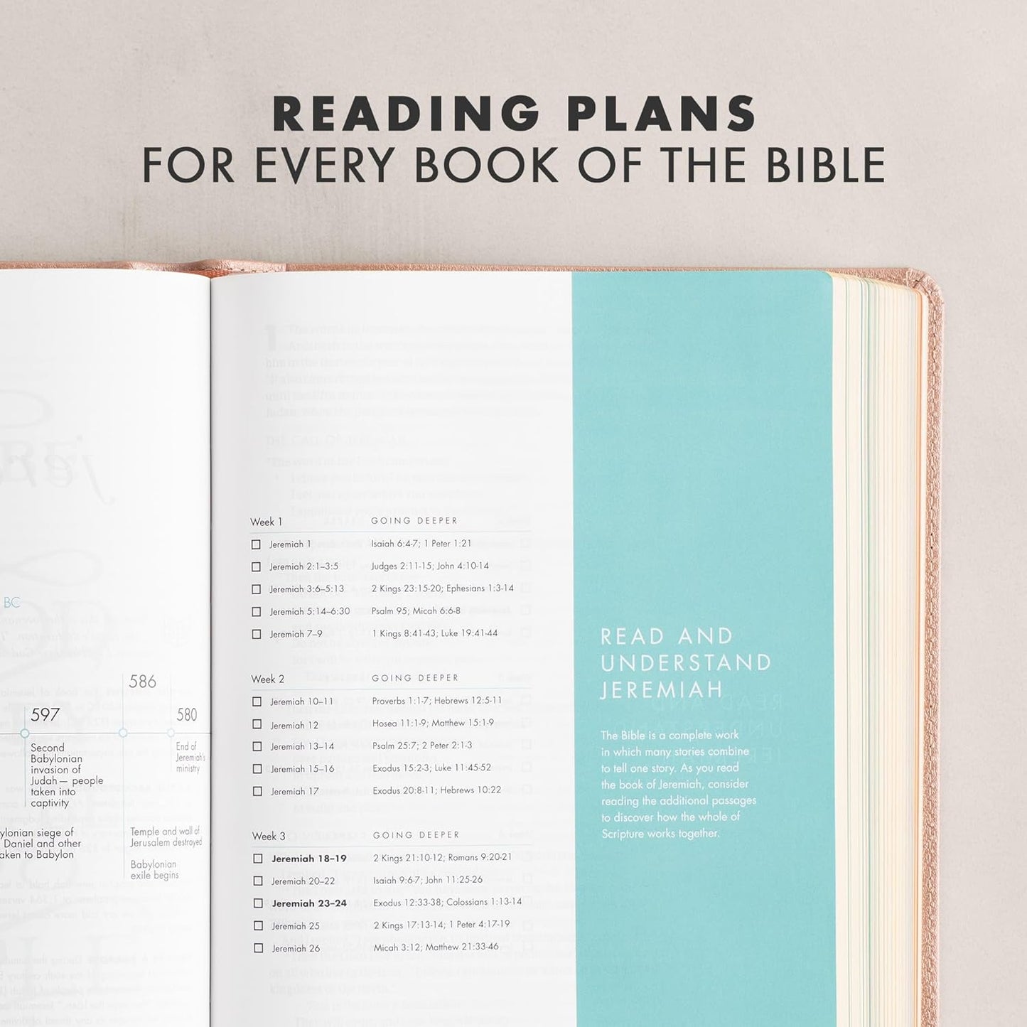 CSB She Reads Truth Bible Rose Gold LeatherTouch, Imitation Leather